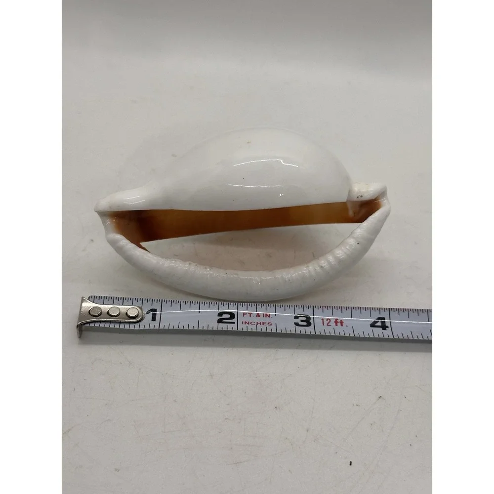 Large Natural Shell Napkin Ring Coastal Beach Table Decor Replacement Single